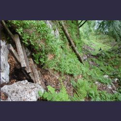 2007-05_10Saletsteig_Sagereck-Steig (004).JPG